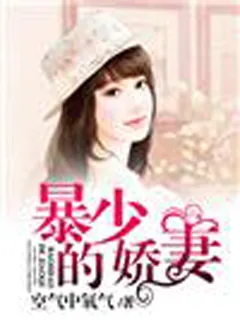 《暴少的娇妻》小说封面