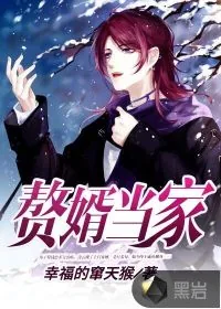 《赘婿当家》小说封面