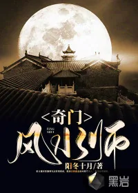 《奇门风水师》小说封面