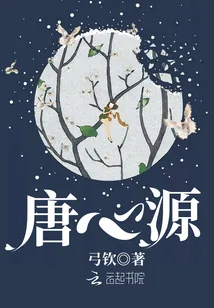 《唐心源》小说封面