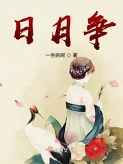 《日月争》小说封面