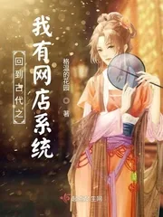 《回到古代之我有网店系统》小说封面