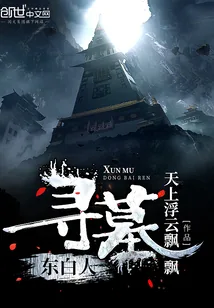 《寻墓东白人》小说封面