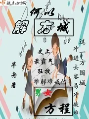 《何以解方城》小说封面