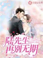 《陆先生，再别无期》小说封面