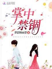 《掌中禁锢》小说封面