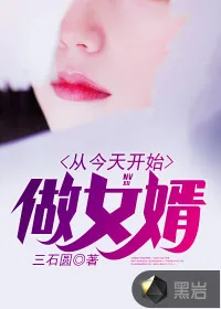 《从今天开始做女婿》小说封面
