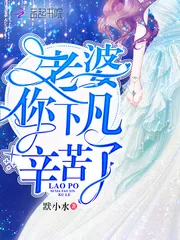 《老婆你下凡辛苦了》小说封面