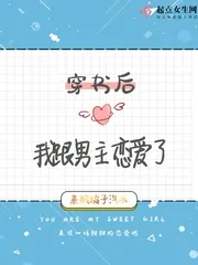 《穿书后我跟男主恋爱了》小说封面