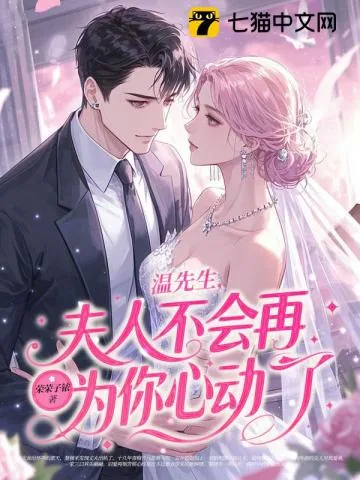 《碎婚》小说封面