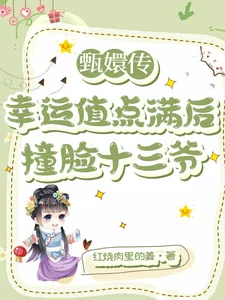 《甄嬛传：幸运值点满后撞脸十三爷》小说封面