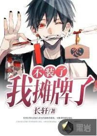 《不装了，我摊牌了》小说封面