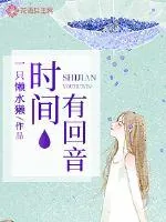 《时间有回音》小说封面