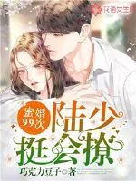《宠婚99次：陆少，挺会撩》小说封面