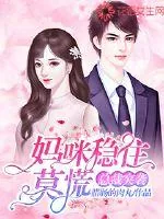 《总裁突袭：妈咪稳住，莫慌！》小说封面