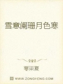 《雪意阑珊月色寒》小说封面