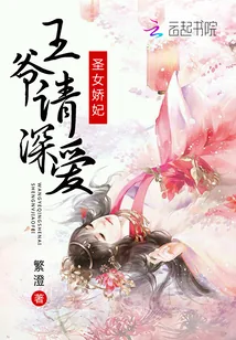 《圣女娇妃：王爷请深爱》小说封面