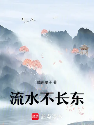 《流水不长东》小说封面