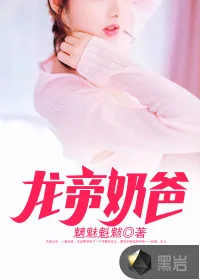 《龙帝奶爸》小说封面