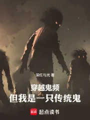 《穿越鬼频，但我是一只传统鬼》小说封面