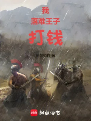 《我,落难王子,打钱》小说封面