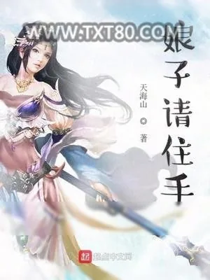 《娘子请住手》小说封面