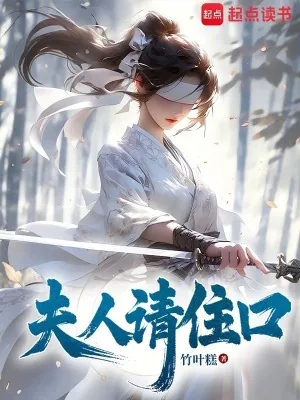 《夫人请住口》小说封面