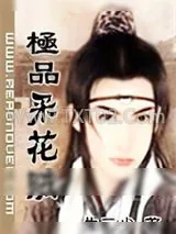 《极品采花贼》小说封面