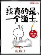 《我真的是一个道士》小说封面