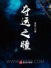《夺运之瞳》小说封面