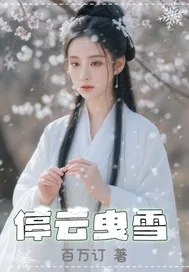 《停云曳雪》小说封面
