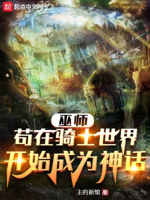 《巫师：苟在骑士世界开始成为神话》小说封面