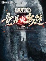 《重力剑魔竟是火影迷》小说封面