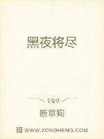 《黑夜将尽》小说封面