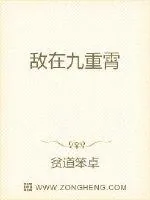 《敌在九重霄》小说封面