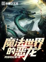 《魔法世界的恶龙》小说封面