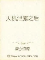 《天机泄露之后》小说封面