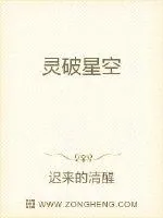 《灵破星空》小说封面