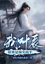 《我,叶辰原来是顶尖高手》小说封面