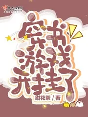 《穿书游戏开挂了》小说封面