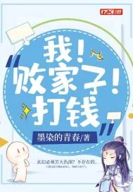 《我！败家子！打钱》小说封面