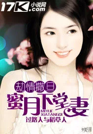 《劫情撒旦：蜜月下堂妻》小说封面