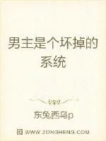 《男主是个坏掉的系统》小说封面