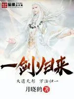 《一剑归来》小说封面