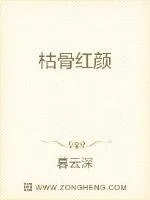 《枯骨红颜》小说封面