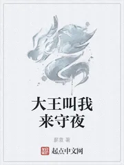 《大王叫我来守夜》小说封面