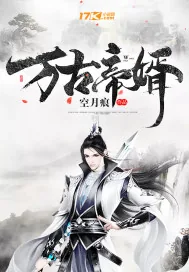 《万古帝婿》小说封面
