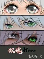 《双魂Hero》小说封面