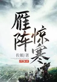 《雁阵惊寒》小说封面