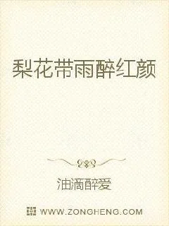 《梨花带雨醉红颜》小说封面